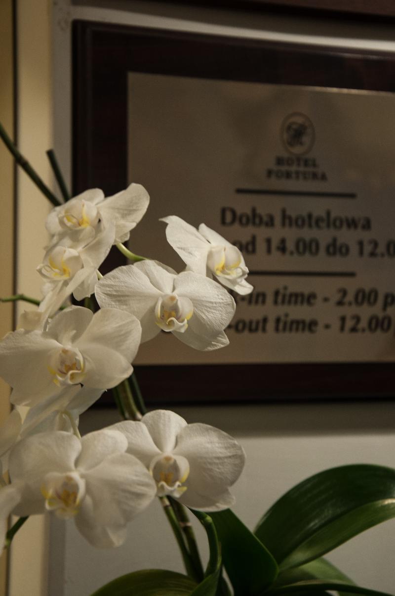 Fortuna Hotel Krakau